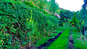 Eco Wall - Finca Ojén