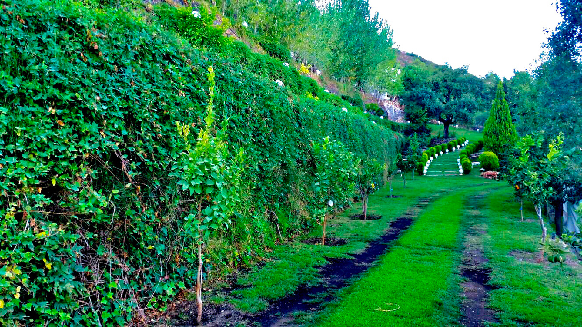 Eco Wall - Finca Ojén