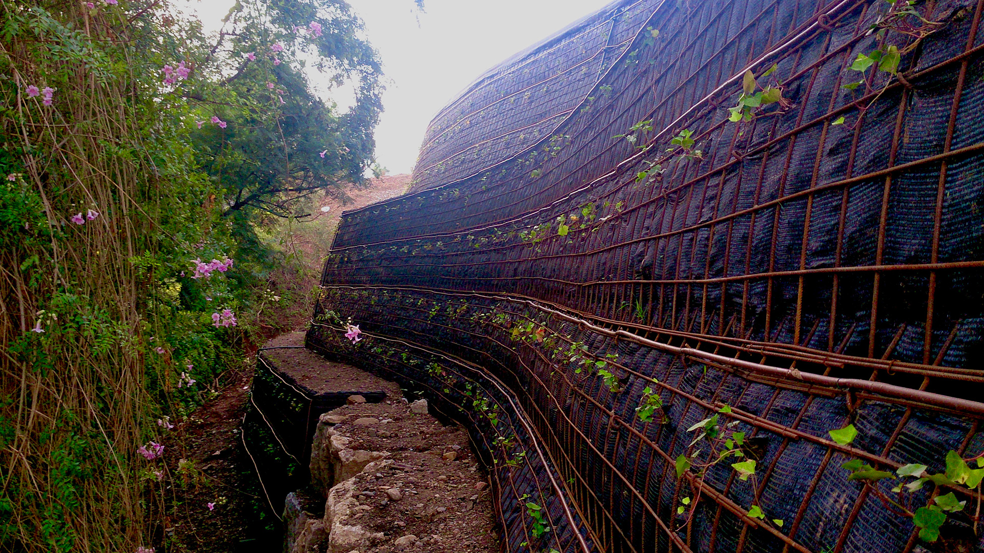 Eco Wall - La Quinta
