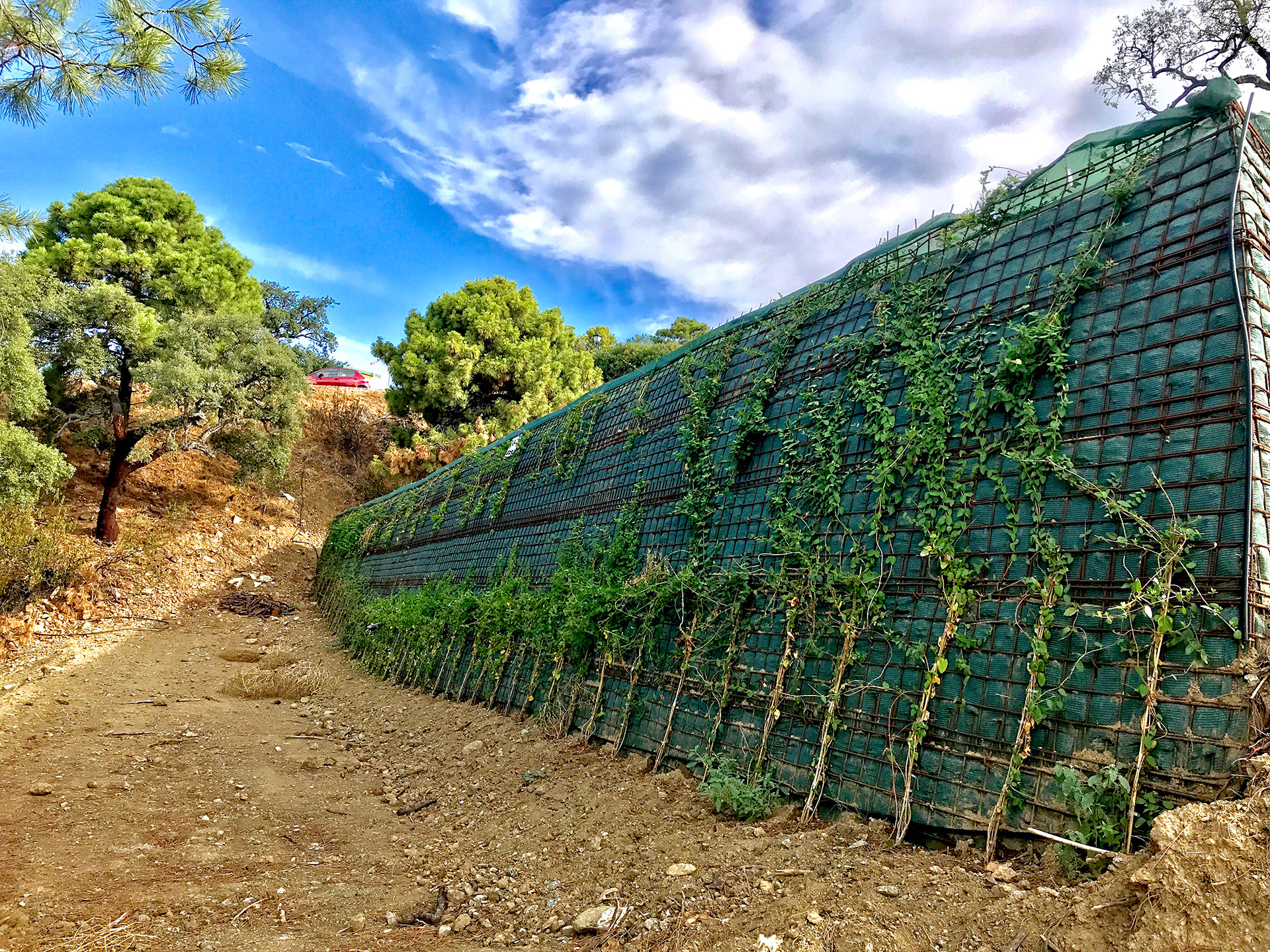 Eco Wall - Monte Mayor