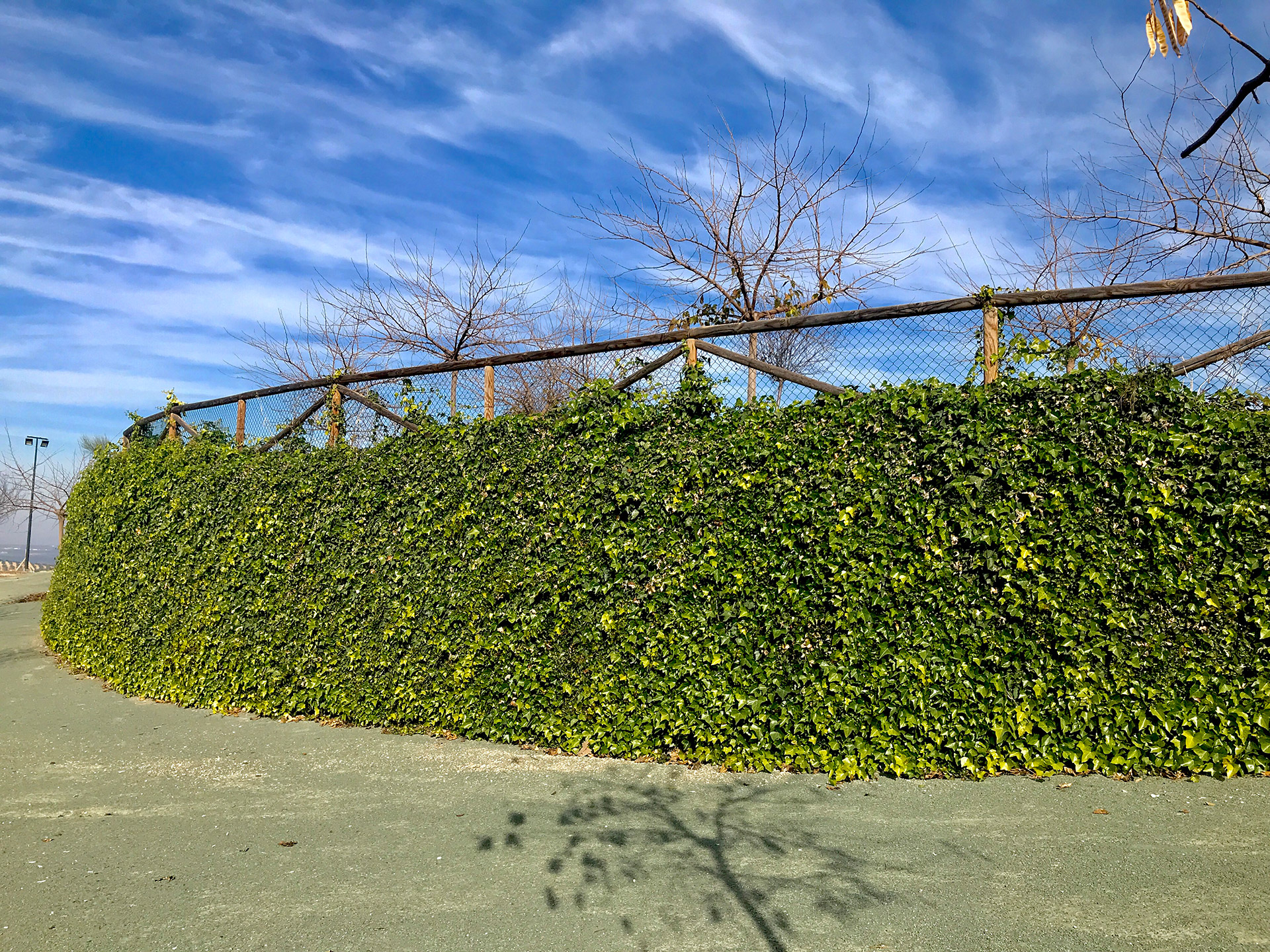 Muro ecológico - parque Algaidas